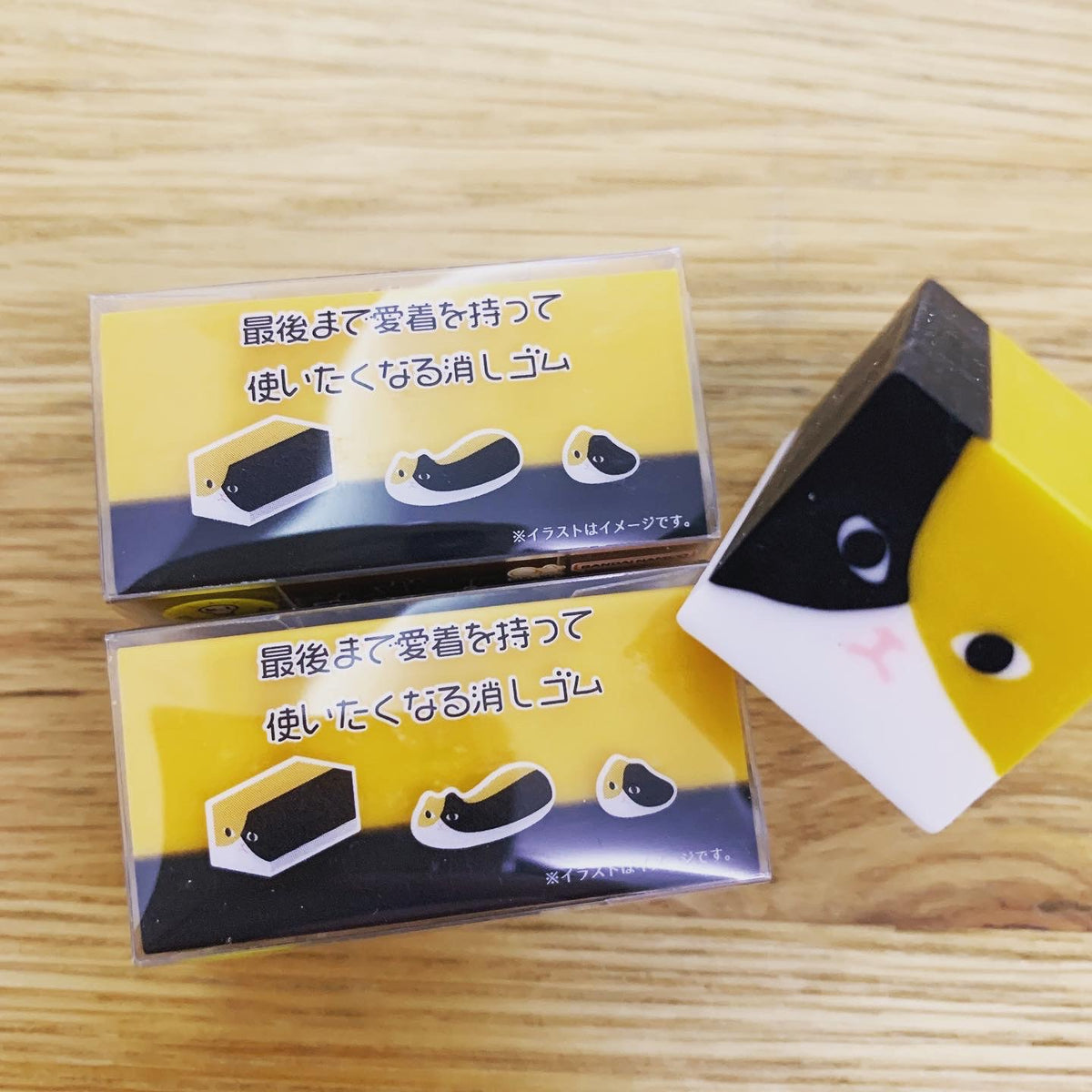 SUNSTAR育成擦膠三色貓、海獺