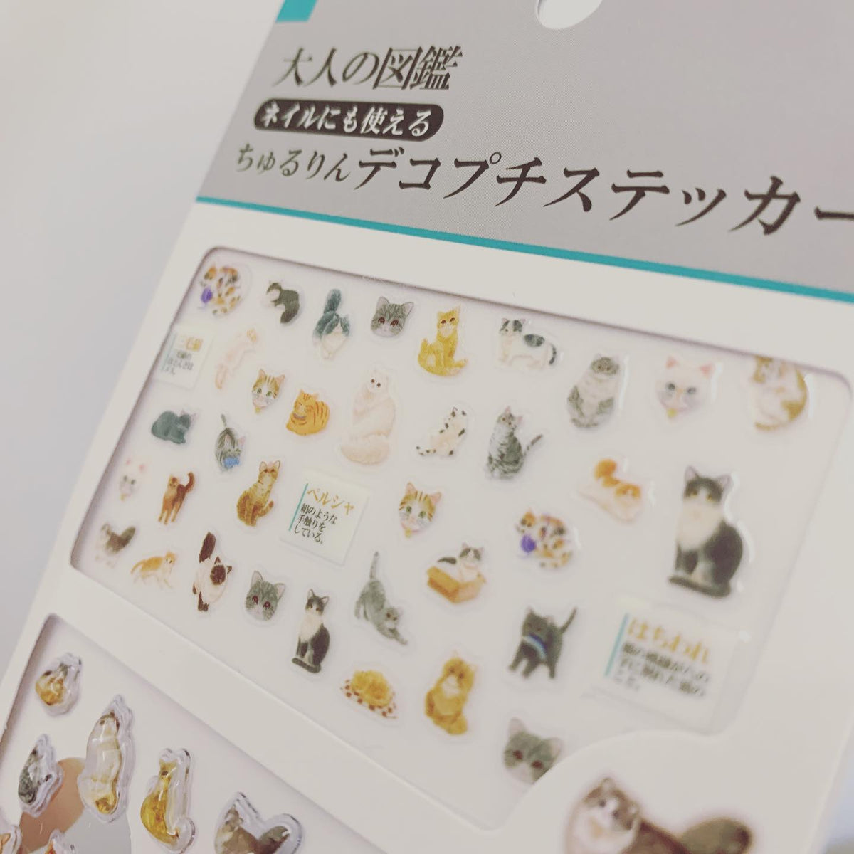 KAMIO大人の図鑑 立體水晶貼紙套裝