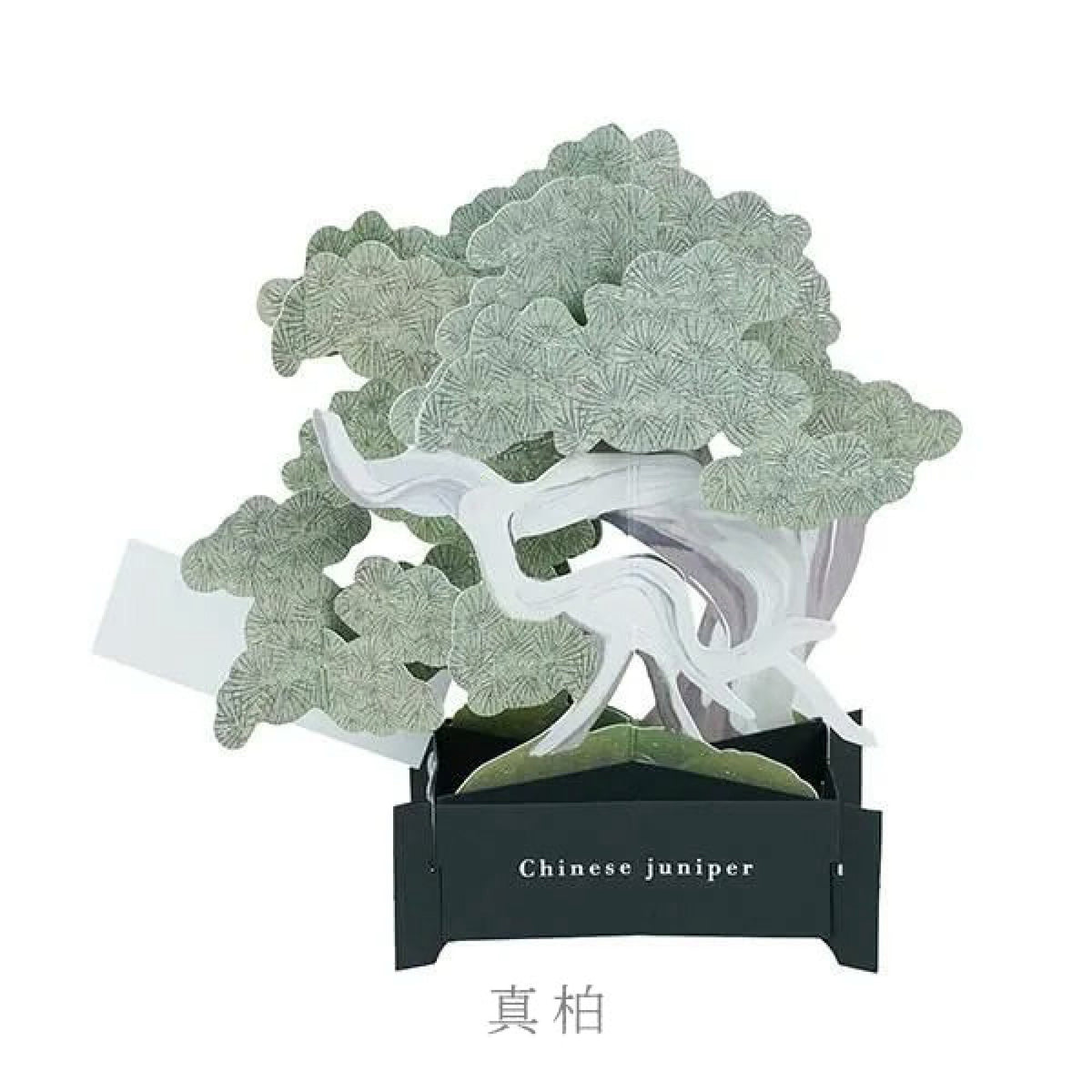 Greeting Life盆栽立體多功能卡