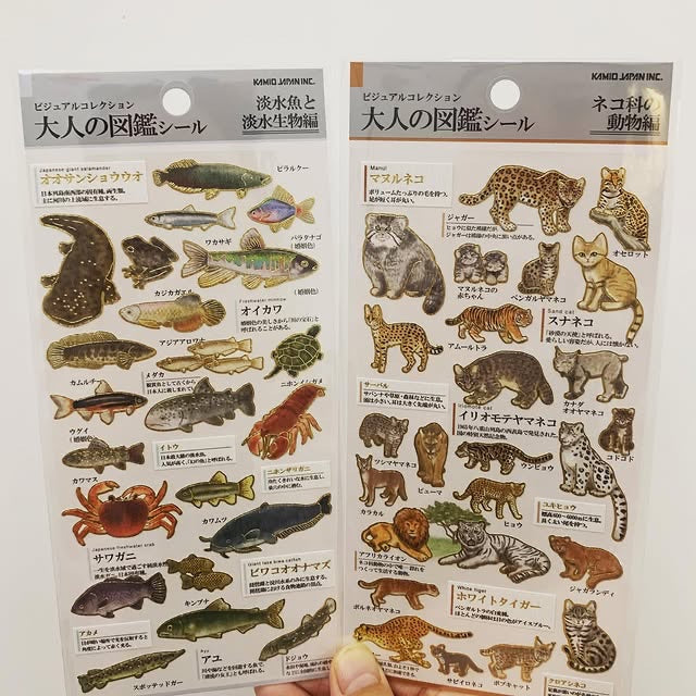 Kamio 大人之圖鑑貼紙 - 淡水魚篇| 家庭西餐廳篇| 烏冬篇| 貓科動物篇| 江戶時代篇|