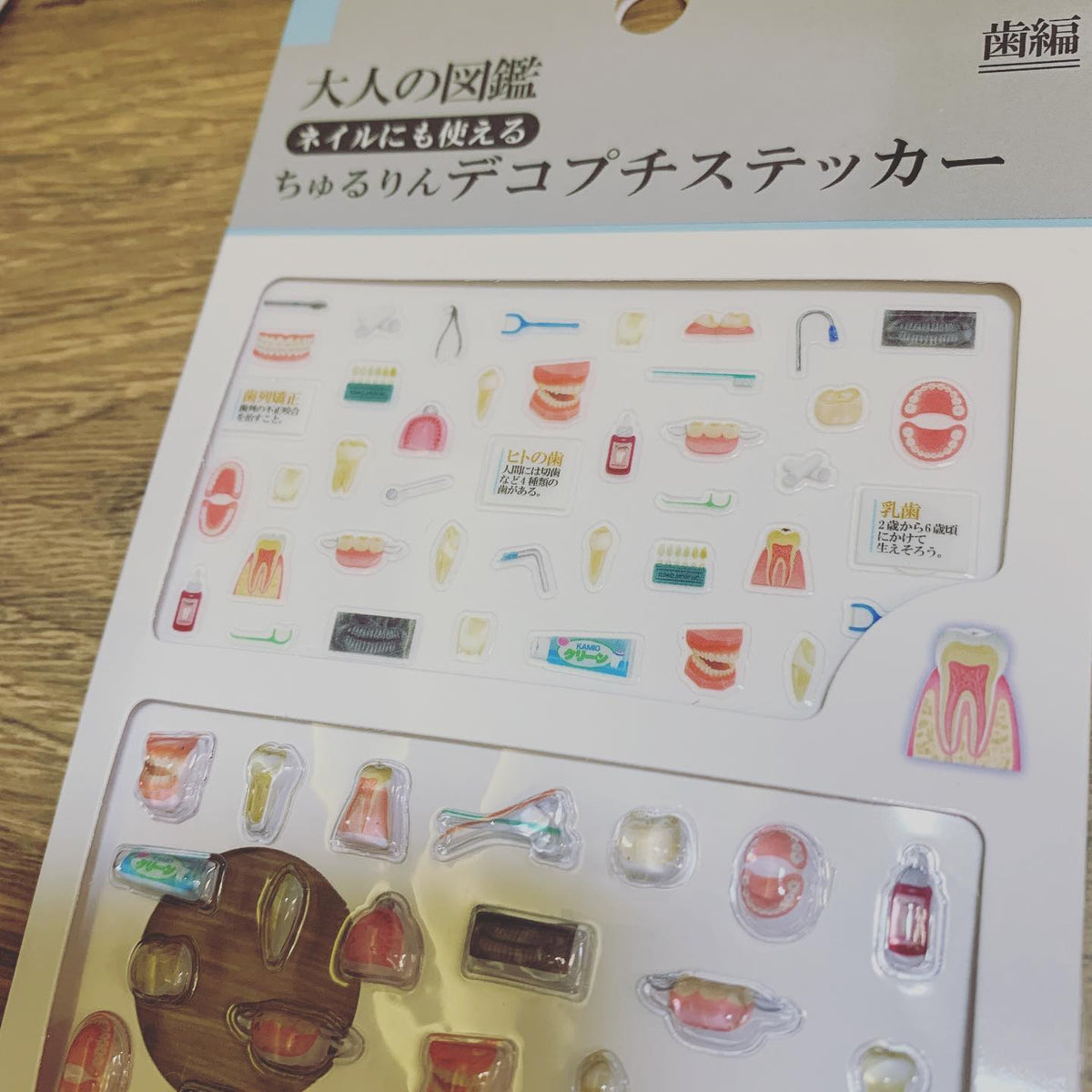 KAMIO大人の図鑑 立體水晶貼紙套裝