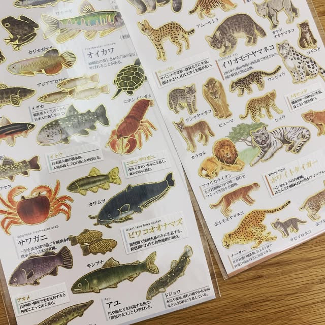 Kamio 大人之圖鑑貼紙 - 淡水魚篇| 家庭西餐廳篇| 烏冬篇| 貓科動物篇| 江戶時代篇|