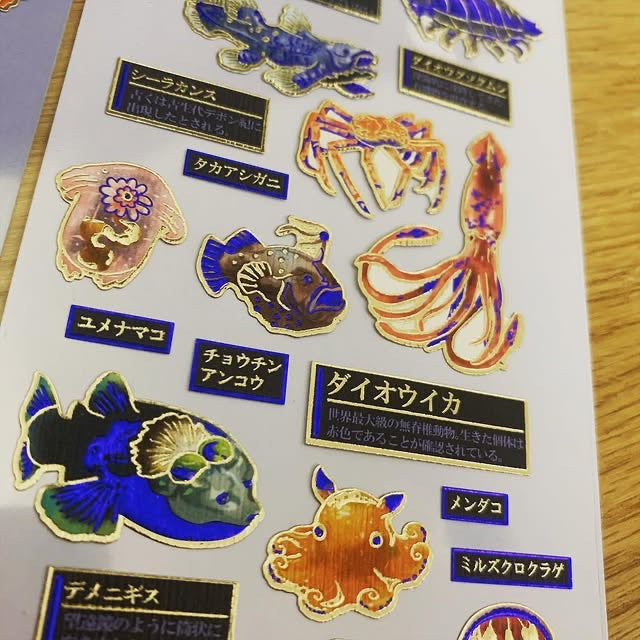 KAMIO 大人之圖鑑Premium系列