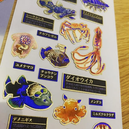 KAMIO 大人之圖鑑Premium系列