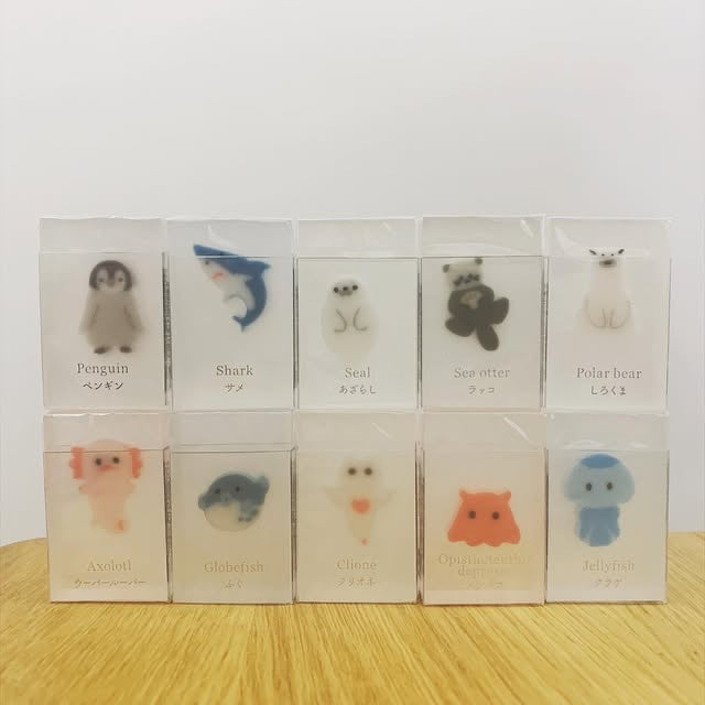 SUNSTAR冰漬生物系列擦膠
