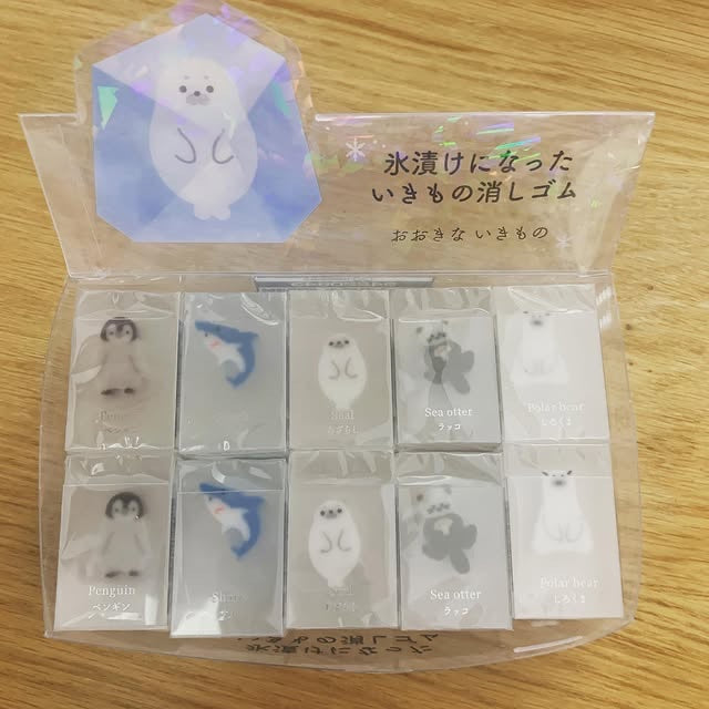 SUNSTAR冰漬生物系列擦膠