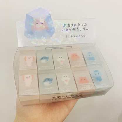 SUNSTAR冰漬生物系列擦膠