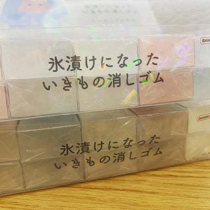 SUNSTAR冰漬生物系列擦膠